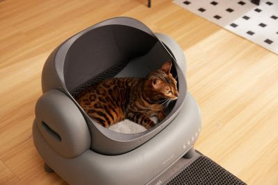 Is een zelfreinigende kattenbak het geld waard?